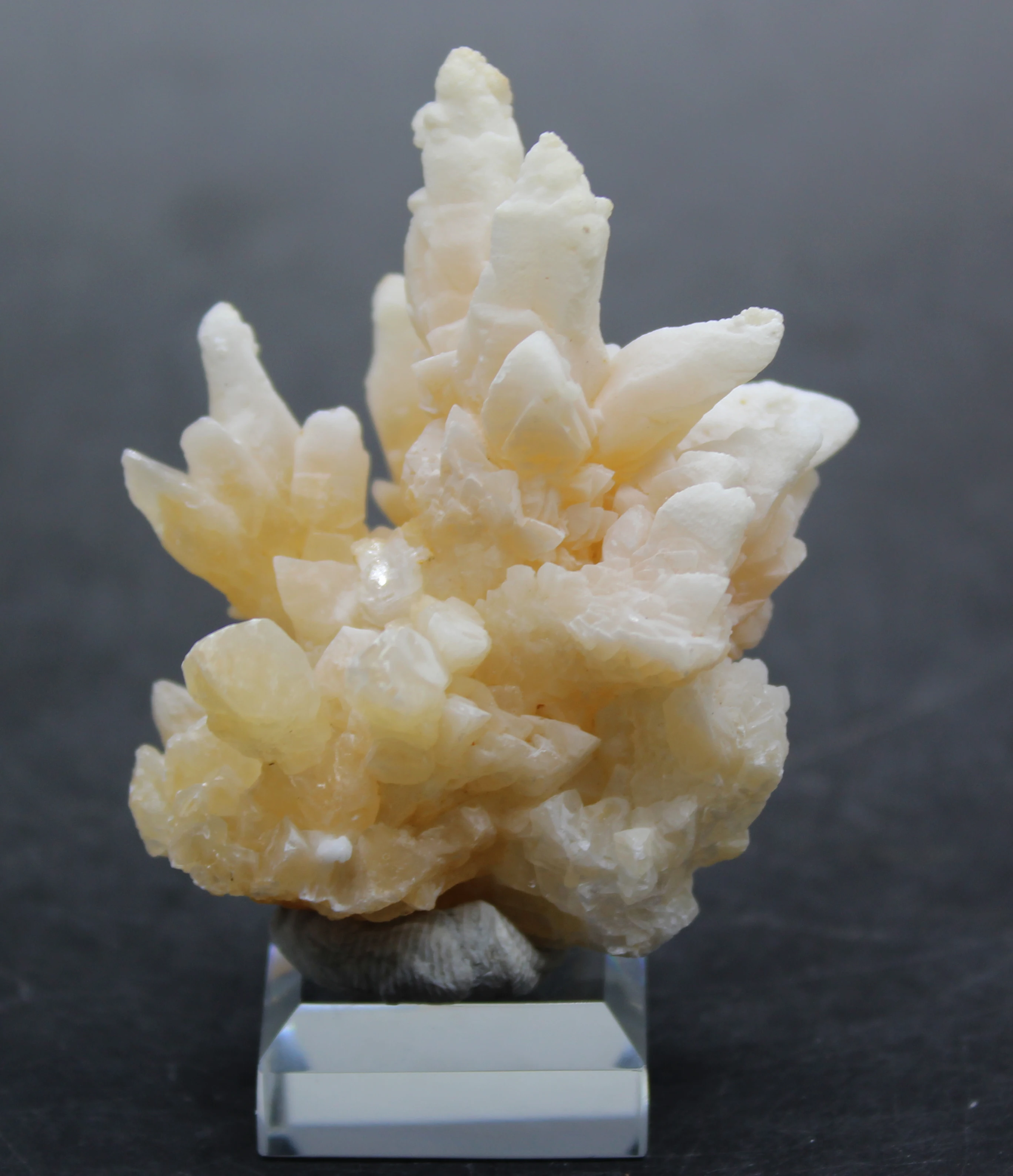 

45g Natural hydrozincite Crystal flower mineral crystal specimen stones and crystals from china