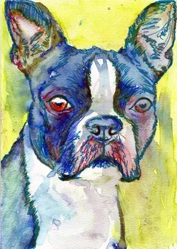 

acrylic paint wall decoration pictures by numbers dog animal oil painting coloring by numbers oil picture