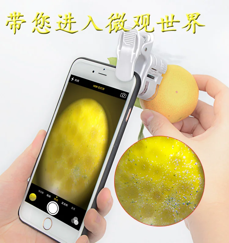 TB2MzIbaTnI8KJjy0FfXXcdoVXa_!!3106316965