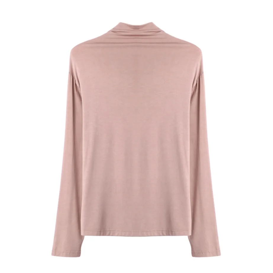 

Autumn Winter Long Sleeve Shirt Women Turtle Neck Solid Basic T-shirt Solid T shirts for Women Casual Tees Tops Female Shirts