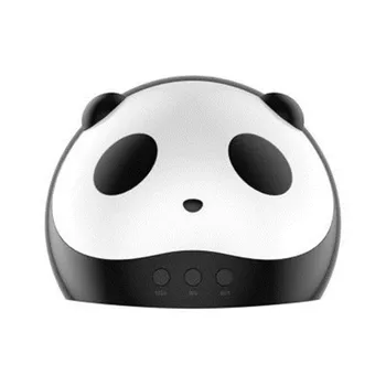 Black panda