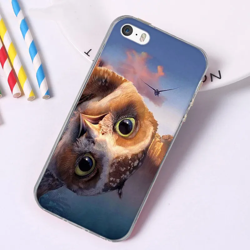 猫头鹰-2