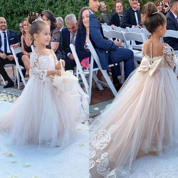 

Light Champagne Tulle Flower Girl Dress for Wedding Long Sleeve Lace Applique Girls Communin Dress with Train