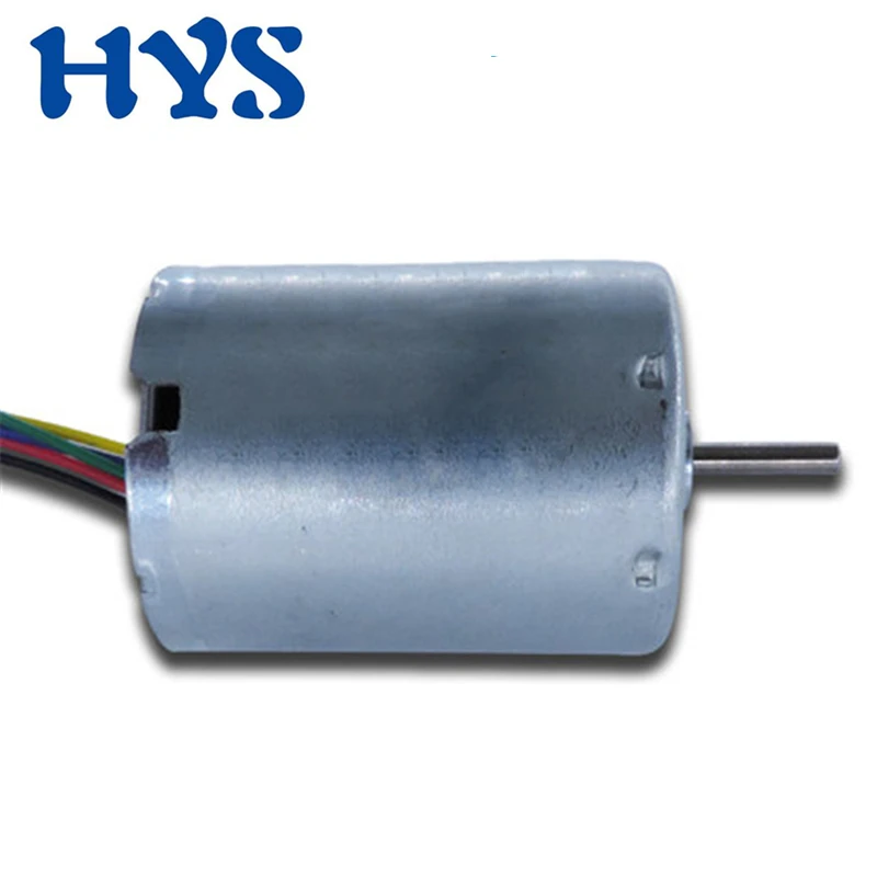 DC 12 V 24V Миниатюрный бесщёточный электродвигатель 6000rpm Высокий Скорость BLDC 12 вольт V микро электродвигатели обратный DC12V металлического двигателя R2430