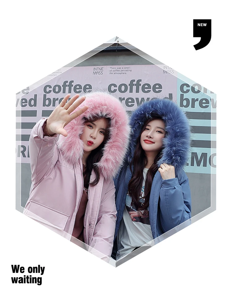 Photo Shoot Autumn And Winter New Style down Jacket Cotton-padded Clothes Women's Fashion Best Friend-Cotton-padded Clothes