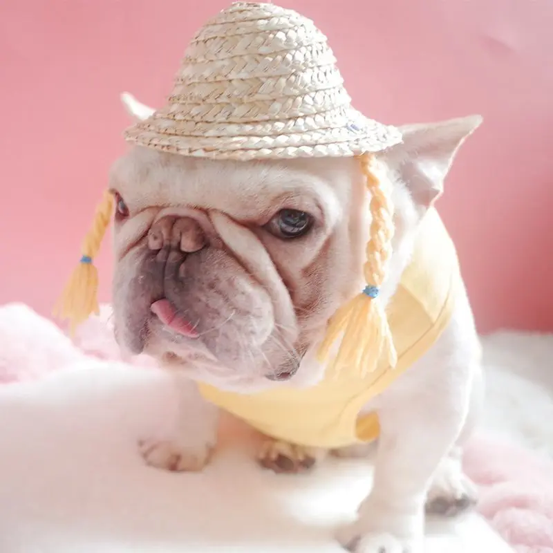 Соломенная Солнцезащитная шляпа для собак, уличная пляжная шляпа для домашних животных, Гавайский стиль, шляпы сомбреро для маленьких собак, кошек, регулируемый Подбородочный ремешок