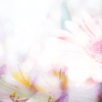 

SHENGYONGBAO Vinyl Custom Fresh Flower Theme Photography Backdrops Studio Prop Background H17924-211