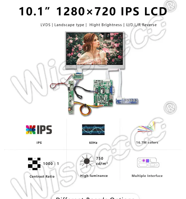 Wisecoco 10,1 дюймов сенсорный экран 1280*720 ips 750 яркость для Raspberry ноутбука Автомобильный дисплей DJ101IA-07A 750
