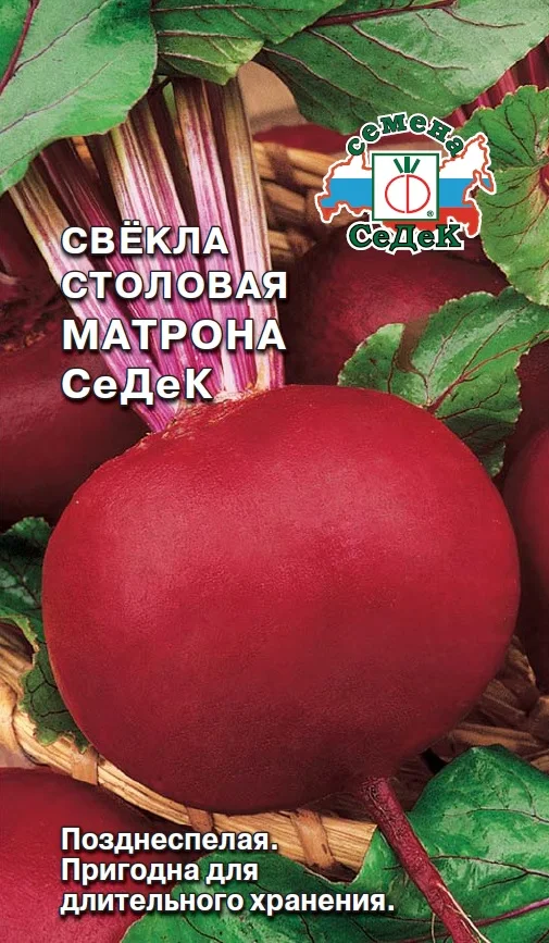 Купить Семена Седек Оптом