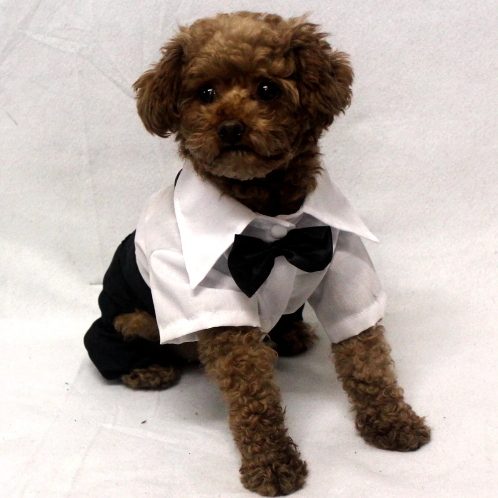 

TOMEPETS Pet Clothing White Dog Shirt Seven Sizes Available Wedding Jumpsuit with Black Bow tie and Pockets