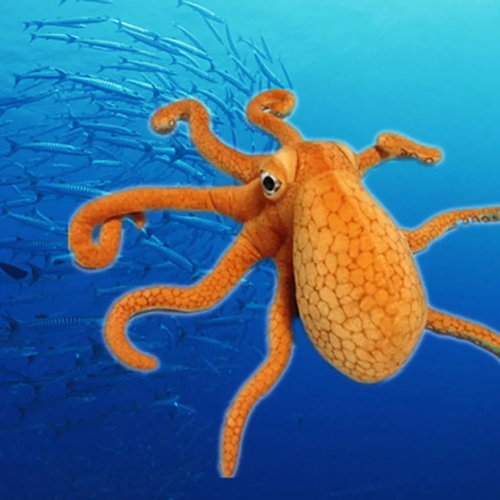 

1 Pcs Simulation Octopus Octopus Doll Plush Toy Pillow Seabed Animal Squid Doll Creative Octopus Gift