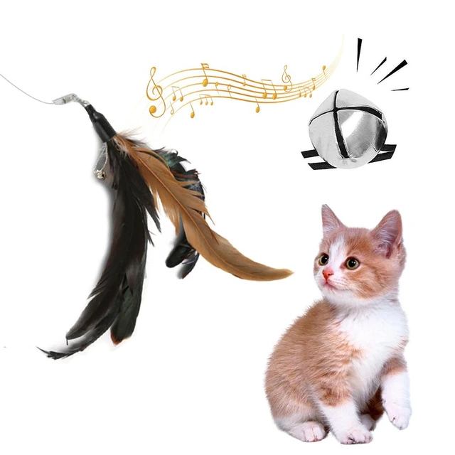 IN 1 Interactive Feather Cat Toys Pet Cat Toy Fishing Rod