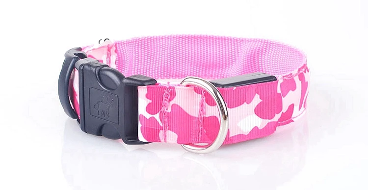dog collar (18)