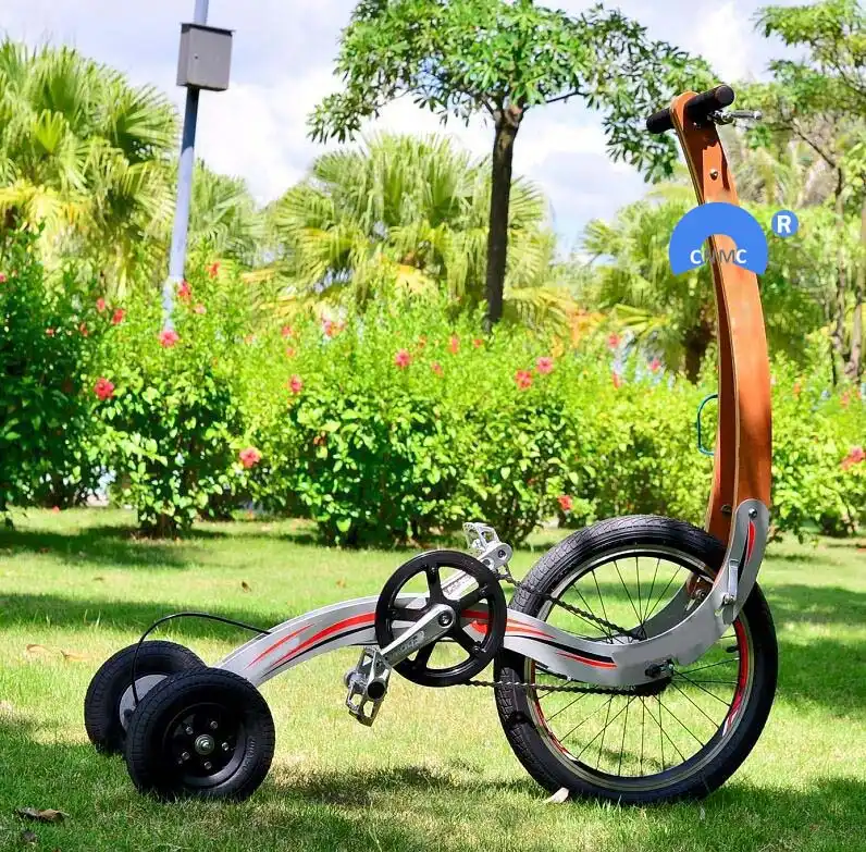 3 wheel exercise bike