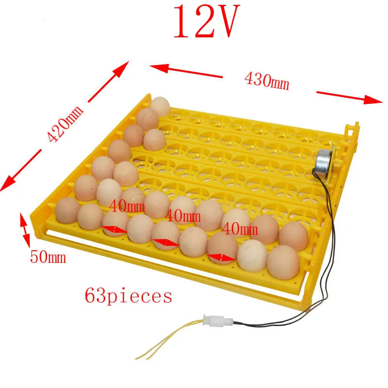 DC12V