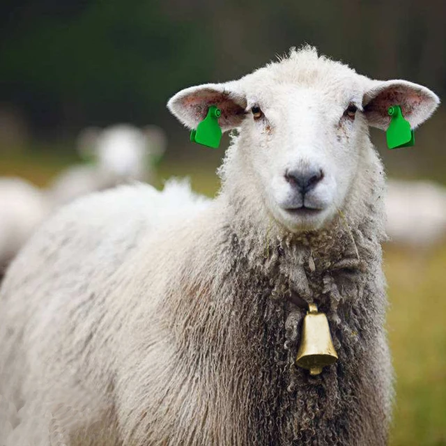 1 Dcs Tehén Ló Juhok Legelésző Réz Harangok Nagy Megvastagodott Szarvasmarha -Juhok Antik Állatok Megakadályozzák A Veszteség Cink Ötvözet Harangját - Image 6