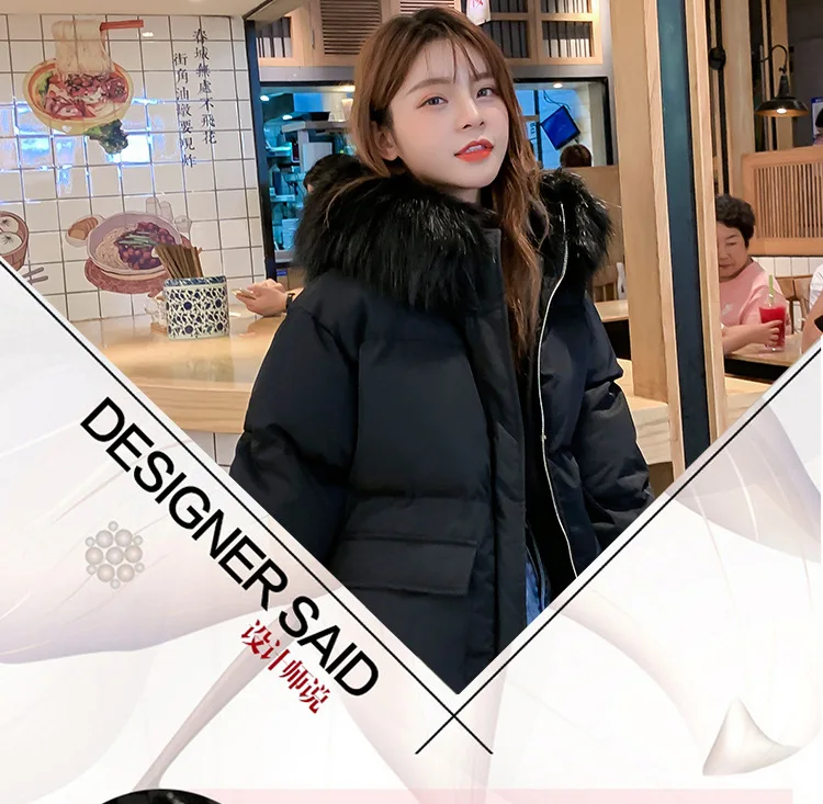 Short-height Cotton-padded Clothes Women's Short Winter New Style Korean-style down Coat Cotton Coat Fashion INS Super Fire