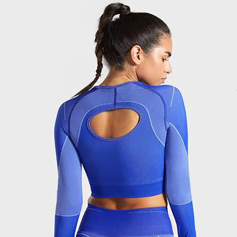 Blue Top Женский спортивный костюм фитнесс, рубашка для йоги, бесшовная, Спортивная, для спортзала, тонкая, для тренировок, для женщин, для бега, футболка с длинным рукавом, укороченный топ, NCLAGEN - Цвет: Blue Top