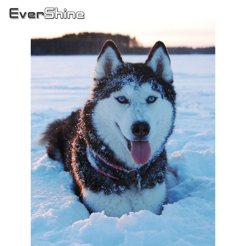 Алмазная живопись Evershine картина с животными полная вышивка крестиком собака