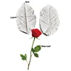 Rose Leaf Veiner B