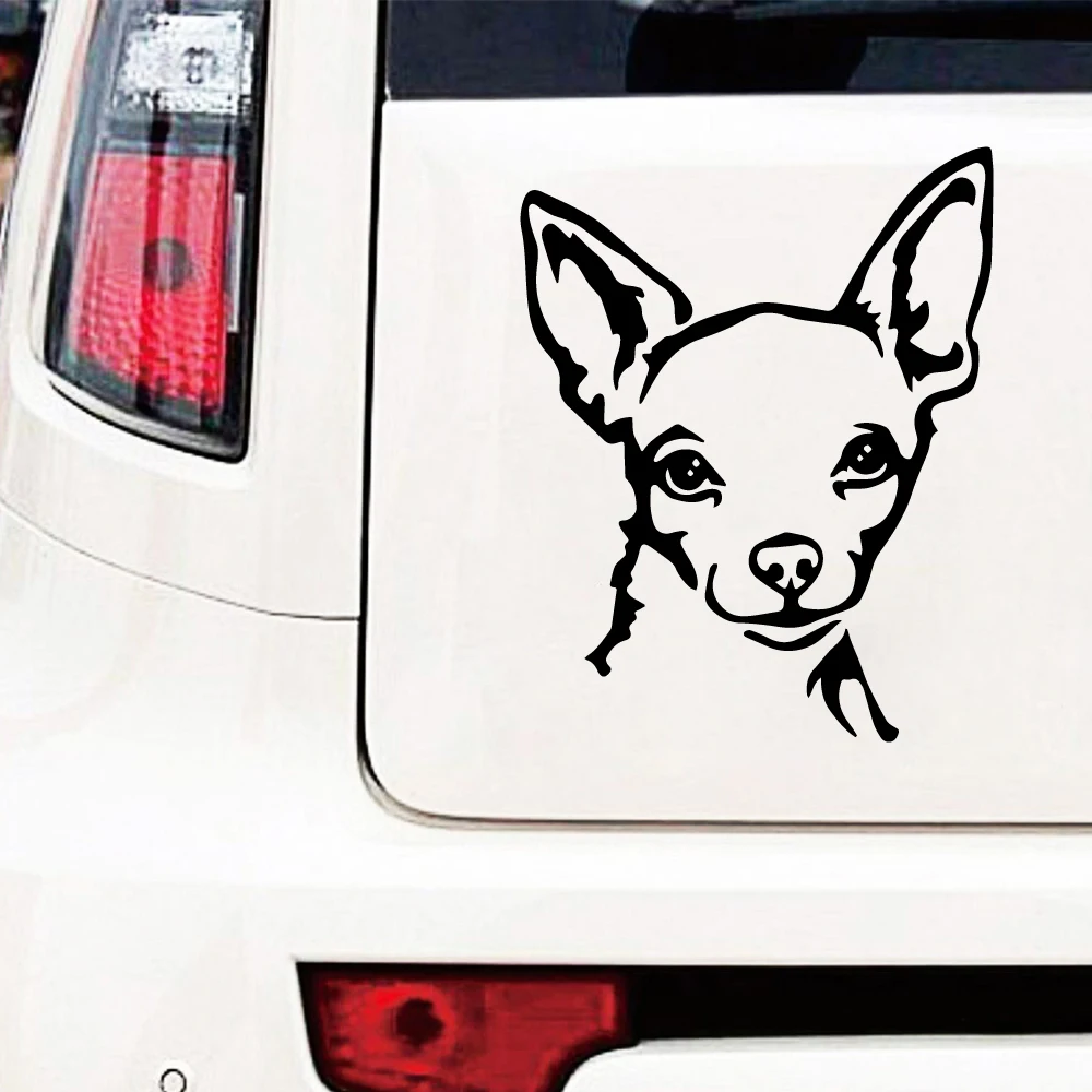 Стильные наклейки на автомобиль с изображением собаки стильная наклейка капот