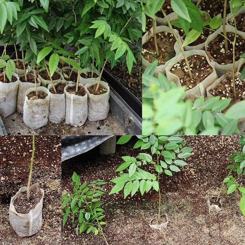 100 Pcs/Lot Seedling-Raising Bags Nursery Pots non-woven fabrics Garden Supplies Garden Supplies Environmental