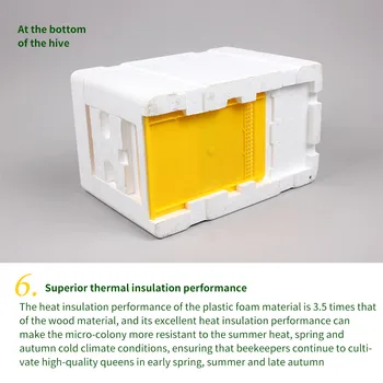 

Bee Hive Beekeeping King Box Pollination Box Foam Frames Beekeeping Tool Kit Hive Box Harvest Beehive Pollination Beekeeping
