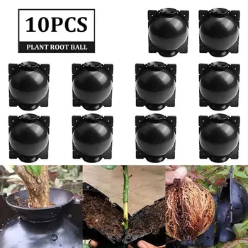 

10pcs Plant Rooting Ball Grafting Rooting Growing Box Breeding Case Plant Root Growing Box For Garden Plant Rooting Equipment