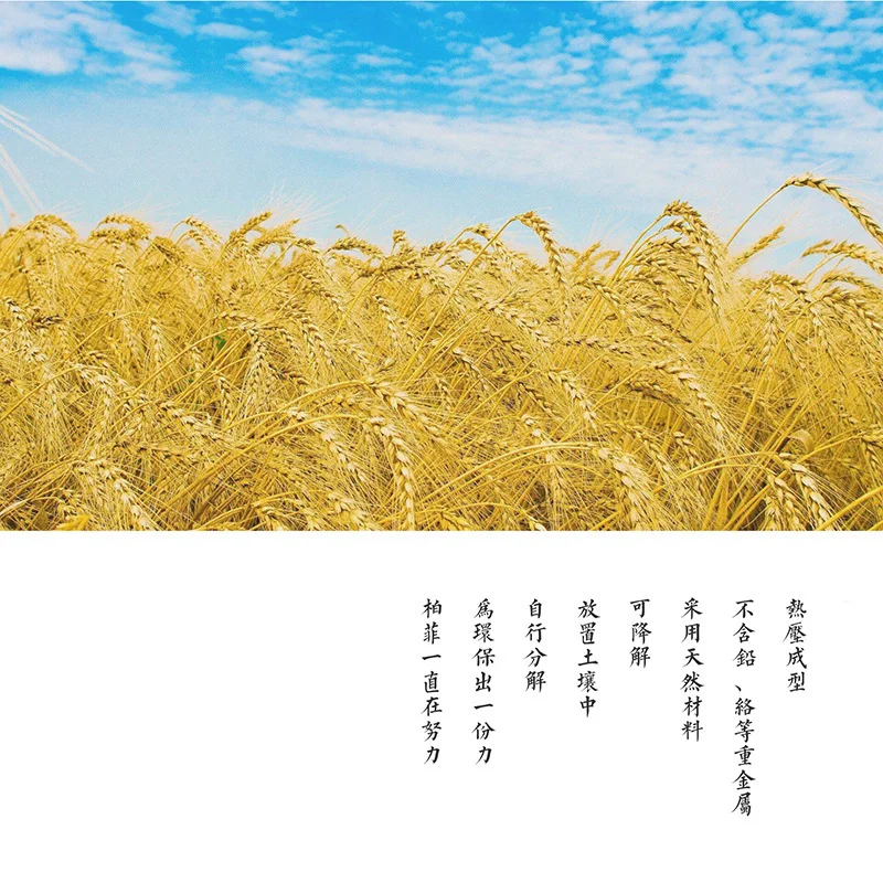 Travel Portable Wheat Comb Environmentally Friendly Biodegradable Starch Comb Bed& Breakfast Boutique Hotel Disposable Comb