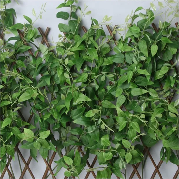 8807992881_846930742