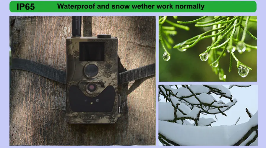 trailhuntingcamera2