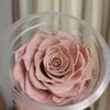 7-8CM/3pcs,Grade A Preserved large Rose head,Eternal Rose for Wedding home decoration accessories,Glass cover vase materials ► Photo 2/6