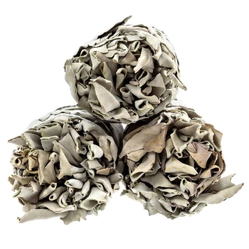 

13/18cm White Sage California White Sage Pure Leaf Smoky Purification White Sage
