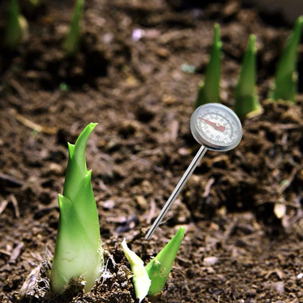 HTB1u0NCVgHqK1RjSZFPq6AwapXaX