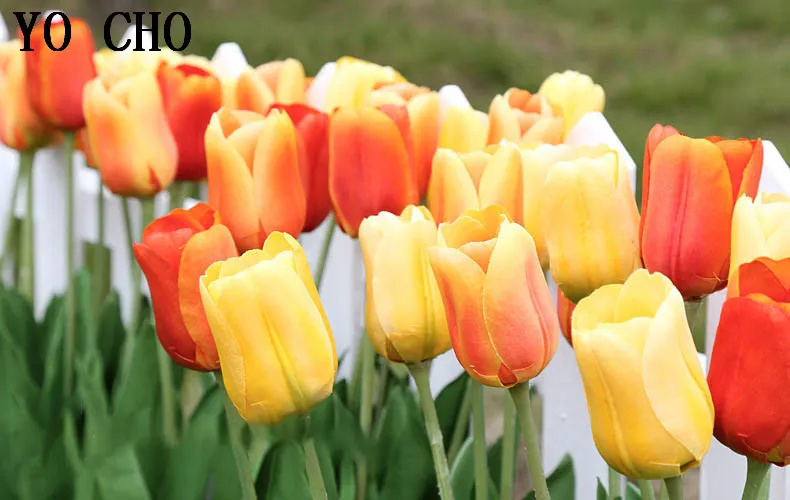 4254900309_835622370