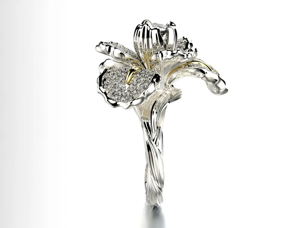 12186109594_1492657371