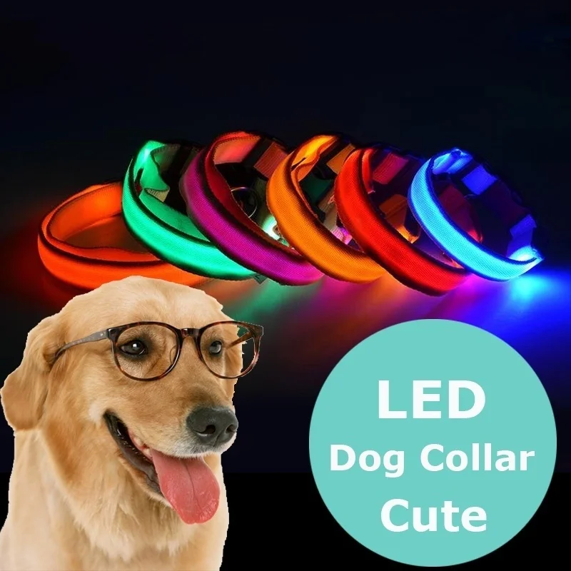 

USB Charging Led Dog Collar Night Safety Flashing Glow In The Dark Dog Leash Creative Led Dog Collar Anti-Loss collar perro