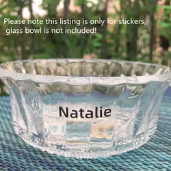 Transparent name Sticker cute cartoon logo Customized Sticker Waterproof Personalized Labels tag kids Stationery back to school