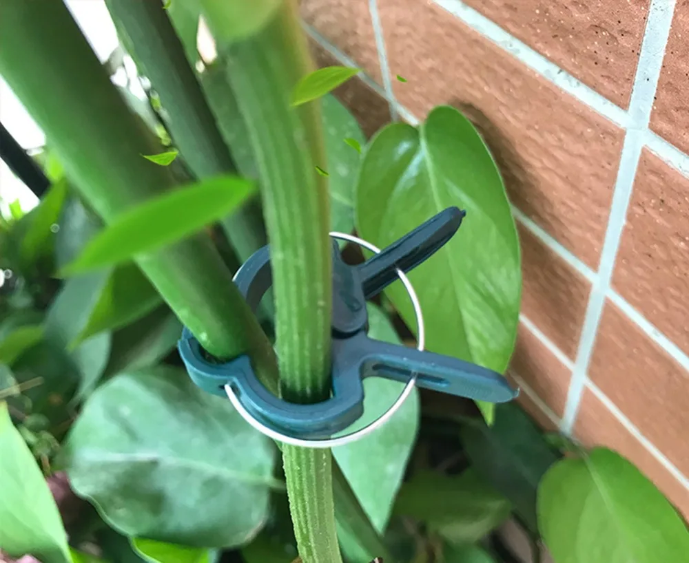 O1CN01TUPmYW2NSBoOXDAaJ_!!40089961