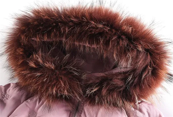 QQ截图20191126110559