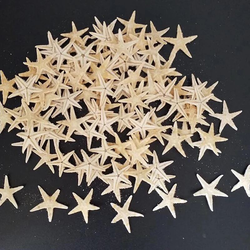20/40/50/100pcs Sea shells Mini Starfish Craft Decoration Natural Stars DIY Beach Cottage Wedding Decor crafts wedding | Дом и сад