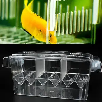 

Big Size 3 Rooms and Mini Size Fish Tank Aquarium Incubator Fish Breeding Hatching Box Acrylic Breeding Isolation Box