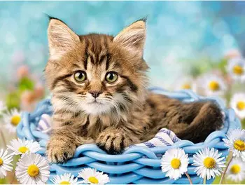 

Div 5D Cats Fairy Flower Bokeh Full Diamond Painting cross stitch kits art High Quality Animal 3D paint by diamonds