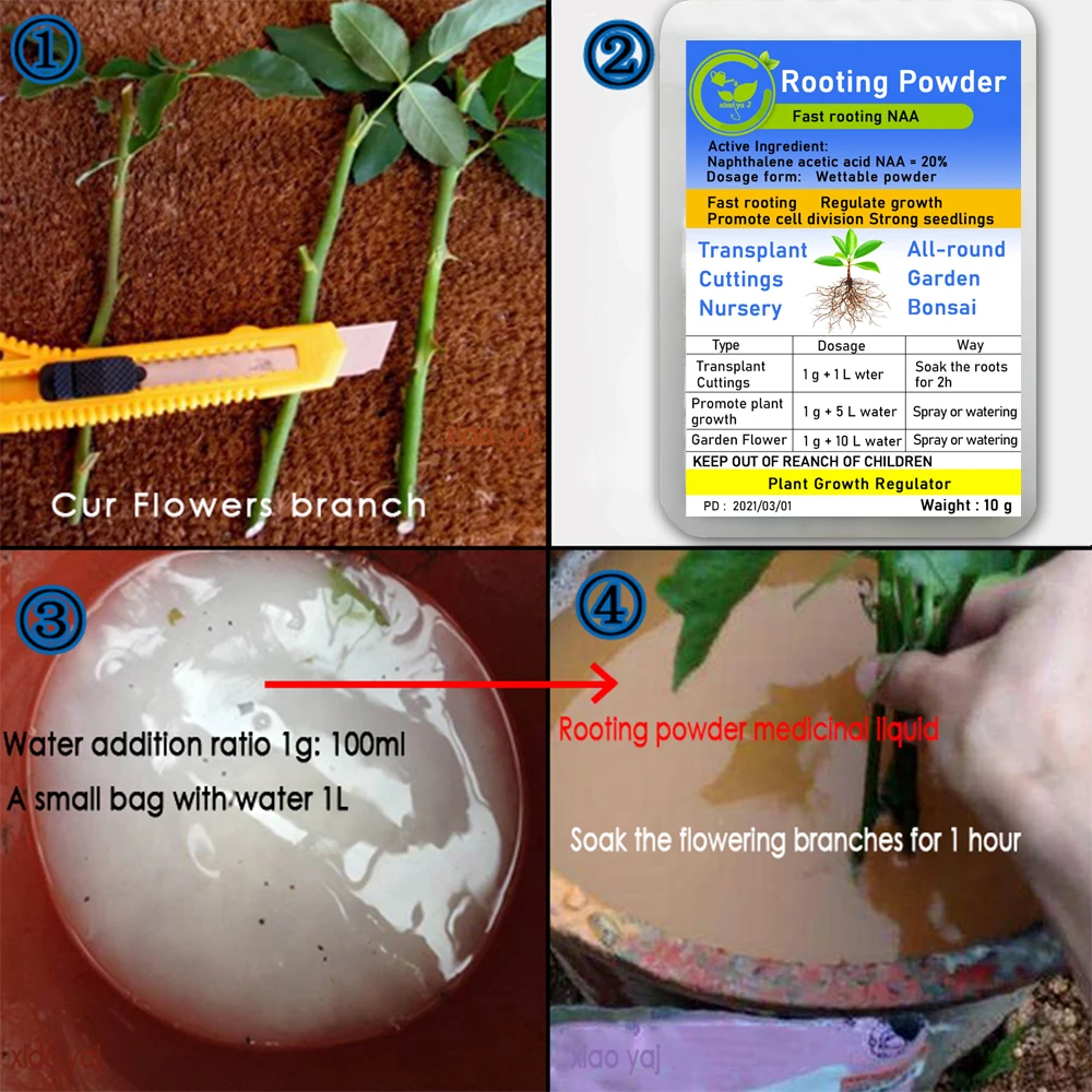 Bonsai Rapid Growth Root Fertilizer Hormone Regulators Seedling Recovery W4J7 Bonsai Rapid Growth Root Fertilizer Hormone Regulators Seedling Recovery W4J7