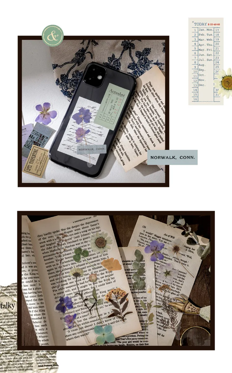 20201023_193244_008_副本001