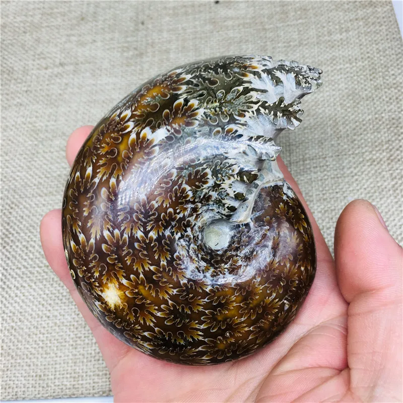IMG_9823(20191204-214045)