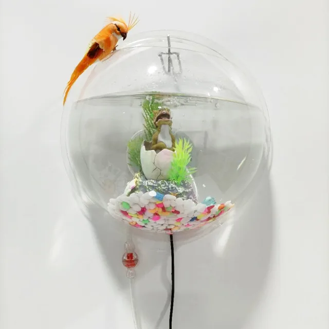 New Acrylic Fish Bowl Wall Mounted Aquarium Fish Tank With Oxygen Delivery Device And Lighting Device Pet Products Betta Fish Aquariums Tanks Aliexpress