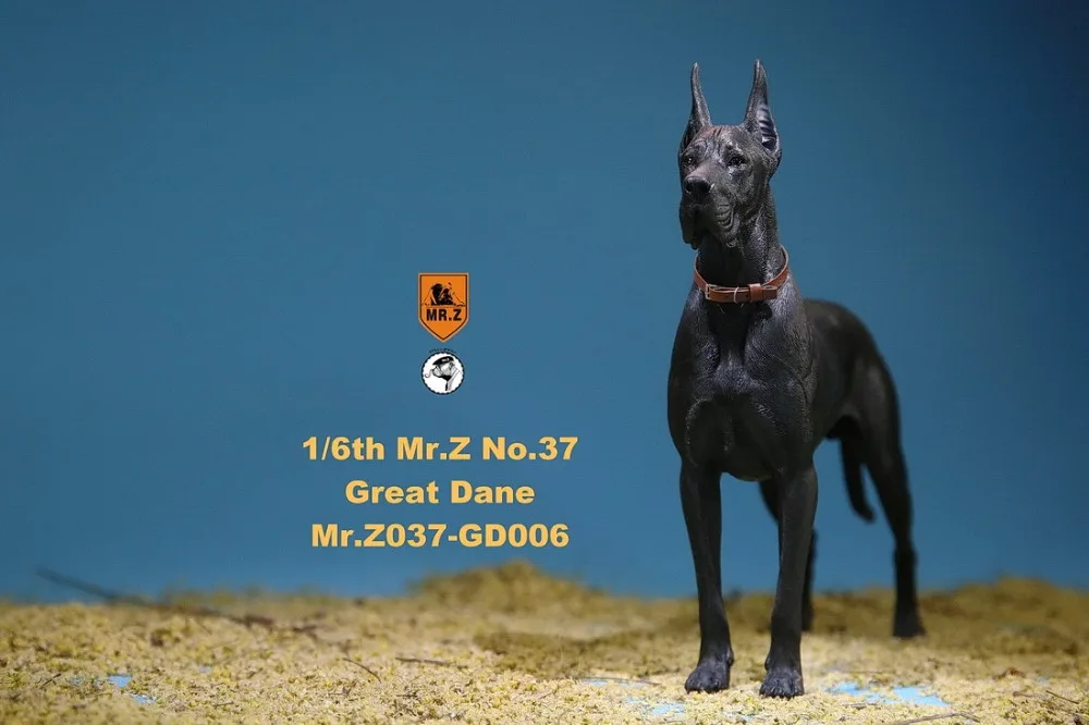 47
