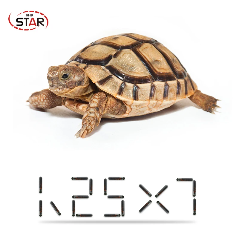 (10 unids/lote) 1,25*7mm/1.4x 8mm/2,12x12mm rfid animal Identificación de vidrio mascotas tubo RFID FDX-B 134,2 KHz EM4304 identificación animal microchip para mascotas