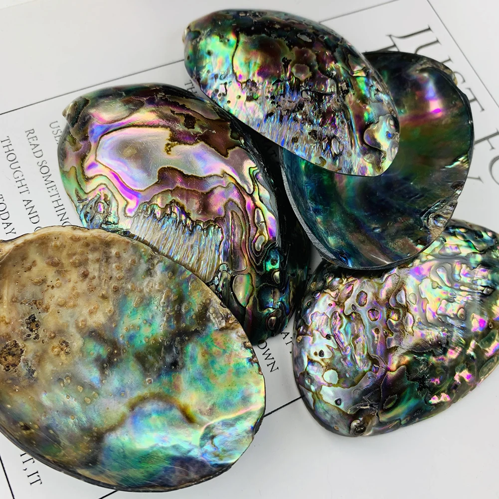 Natural Abalone Shell Spiritual Pendant Charms